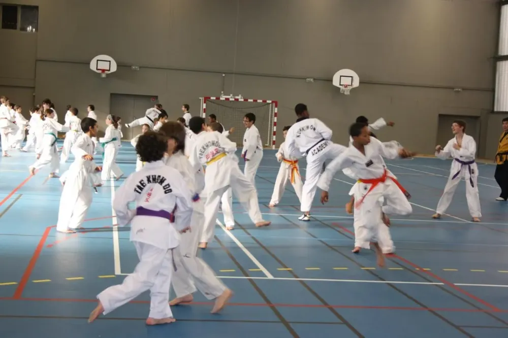 cole de taekwondo